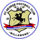 圣乔治维莱FC后备队logo