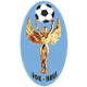 尼卡诺夫哥罗德女足logo
